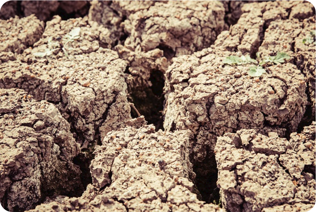 Drought Resources