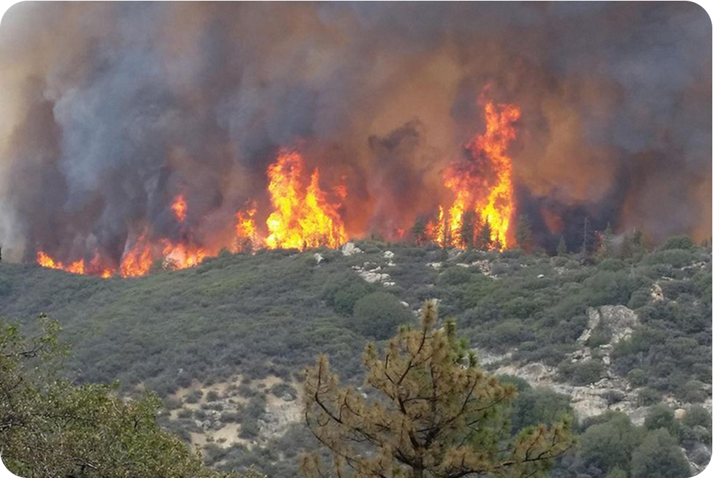 Wildfires