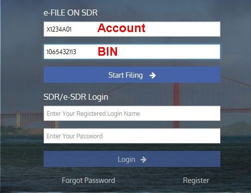 Screenshot of e-file site login page showing where Account and BIN numbers should be entered