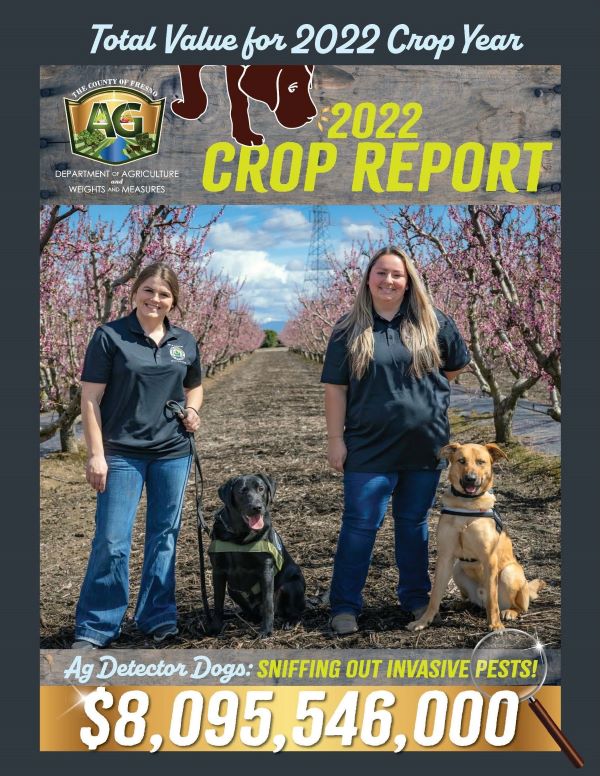 2022-Crop-Report-Image.jpg
