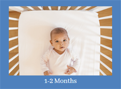 1-2 Months-Edited.png