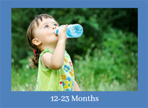 12-23 Months-Edited.png