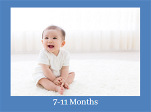 7-11 Months-Edited.png