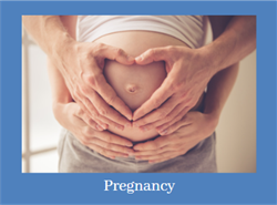 Pregnancy-Edited.png