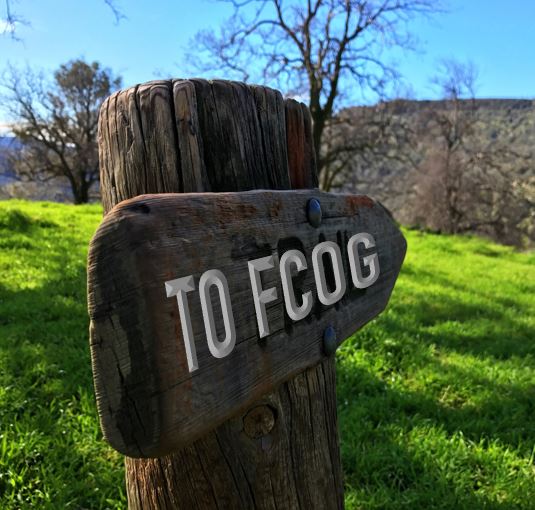A picture of a trail sign that says TO FCOG