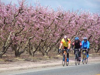 BikeBlossomTrail.1