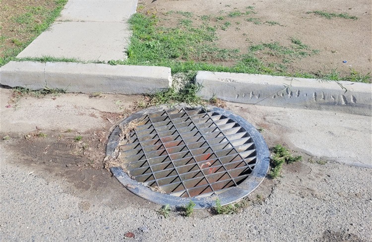 View of a curb and storm drain showing a round metal grate set into the pavement. The surrounding concrete and curb edge are worn and cracked, with soil and small plants encroaching around the drain opening. Adjacent sidewalk and grass area are visible above the curb.