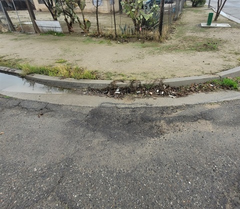 View of a roadway edge and curb showing worn asphalt, pooled water, and debris collected in the gutter. The curb line is uneven, with vegetation growing along the edge. A fenced yard and dirt area sit behind the curb.