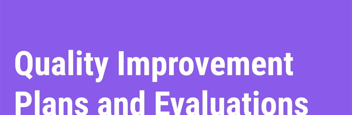 Quality Improvement Plans and Evaluations