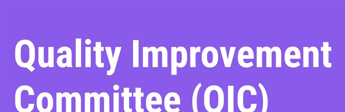 Quality Improvement Committee