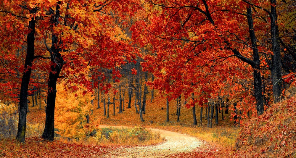 Autumn